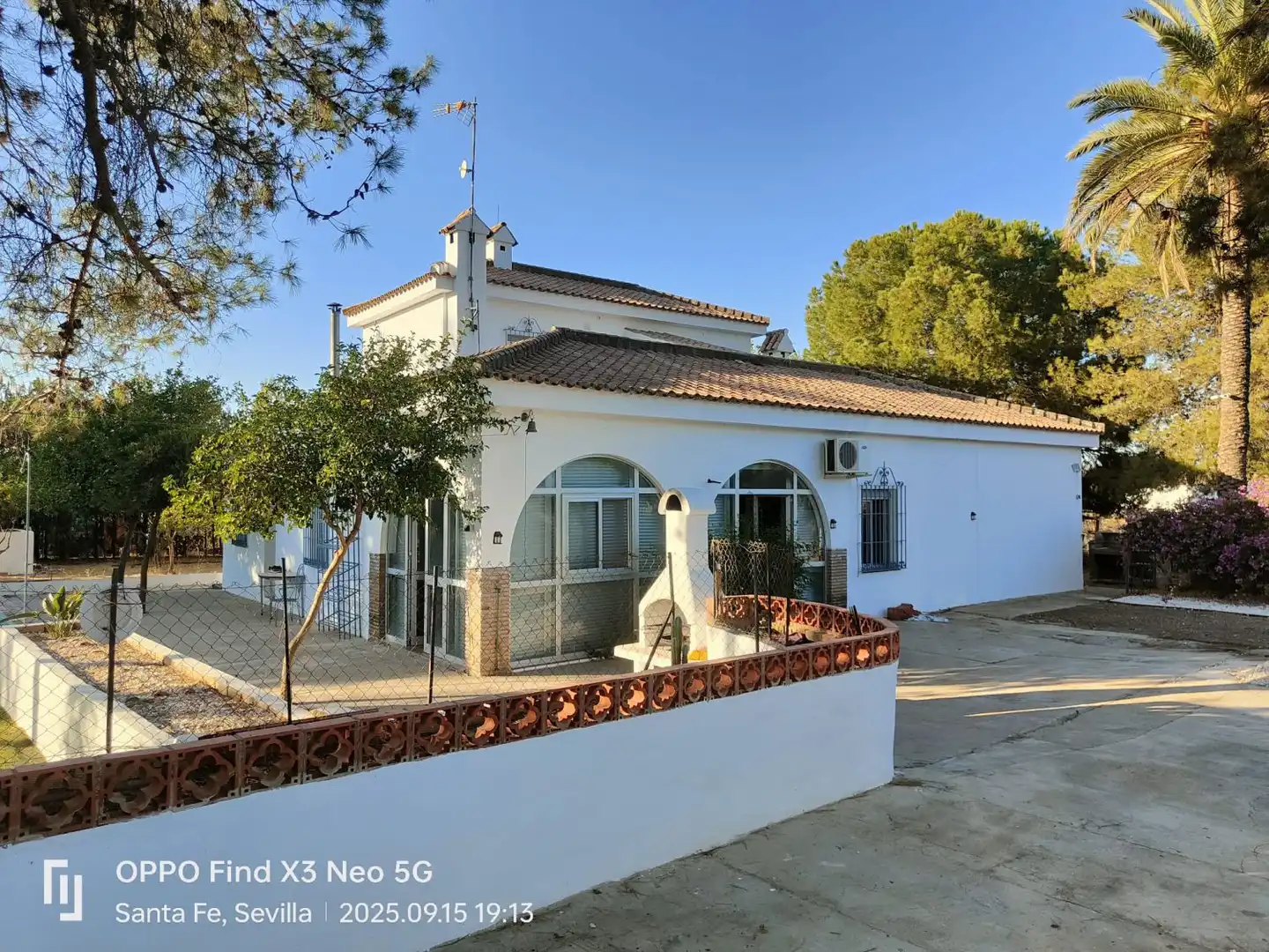 Vista exterior de Casa o chalet en venta en Carmona con Terraza