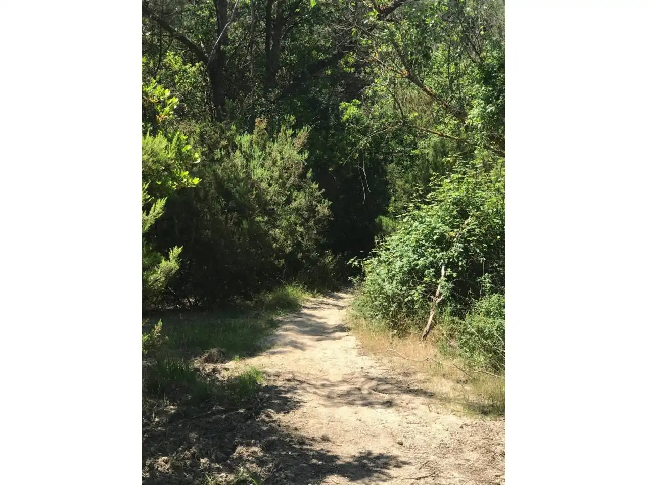 Land for sale in Vilanova del Vallès
