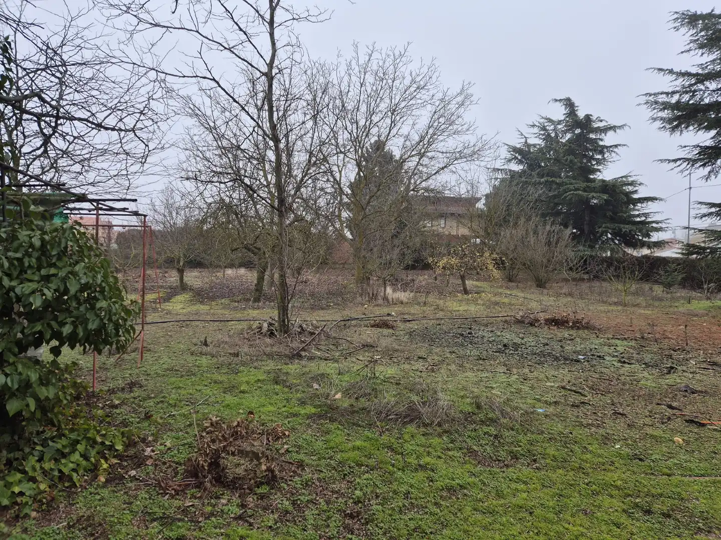 Terreni e lotti in vendita a La Bañeza, imagen 5