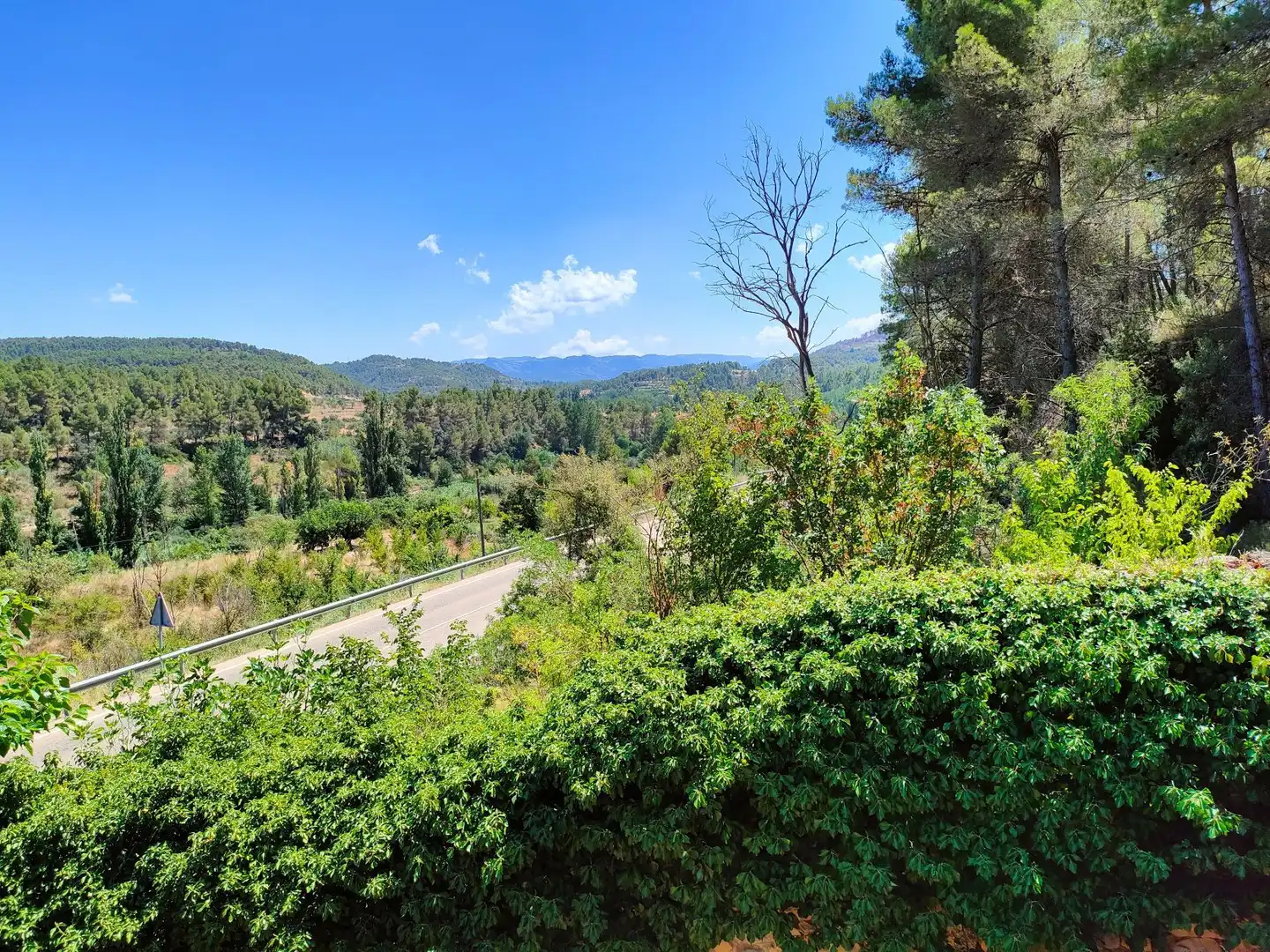 Vista exterior de Finca rústica en venta en Valderrobres