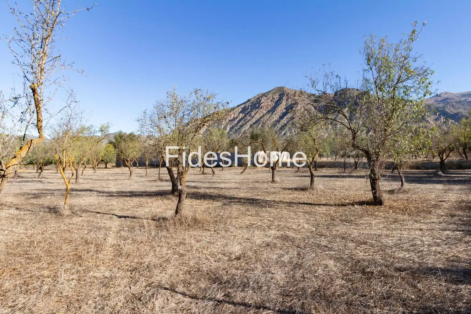 Rural land for sale in XFC2+95P Acequias 0