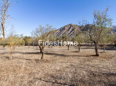 Terreno rustico in vendita a XFC2+95P Acequias 0