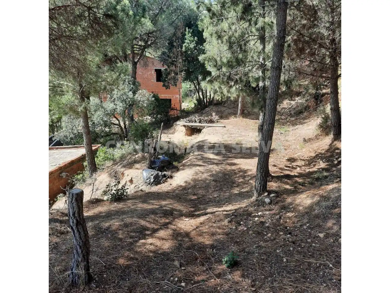 Terrenos y solares en venta en Riudarenes, imagen 8
