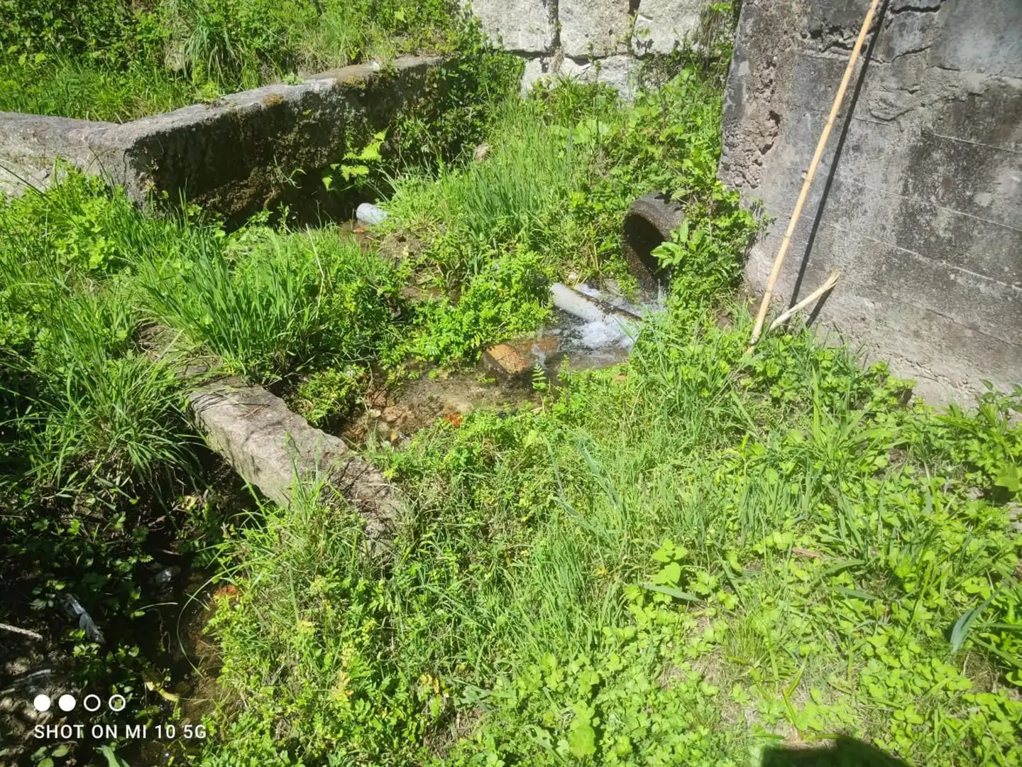 Terrain rustique à vendre à Valadares - Beade, imagen 5