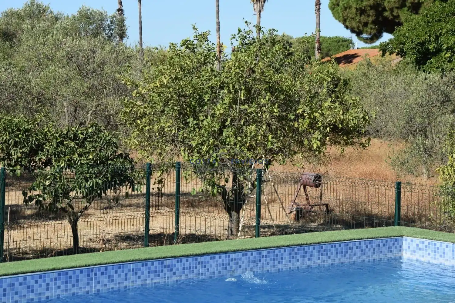 Piscina de Finca rústica en venda en Gibraleón amb Aire condicionat, Terrassa i Piscina
