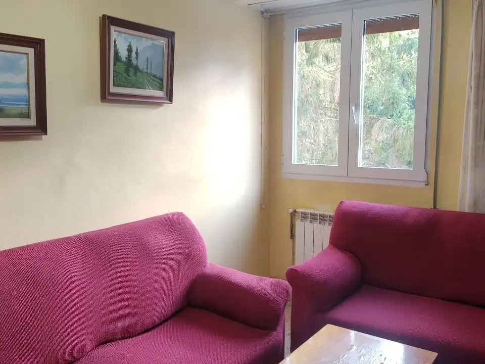 Wohnzimmer von Wohnung zum Verkauf in Abetxuko