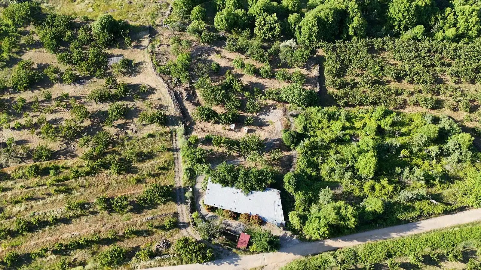 Terreni e lotti in vendita a Casas del Castañar, imagen 6