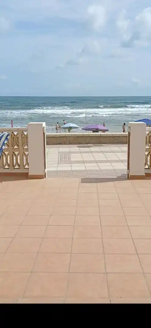 Vista exterior de Casa o chalet en venta en Piles con Aire acondicionado