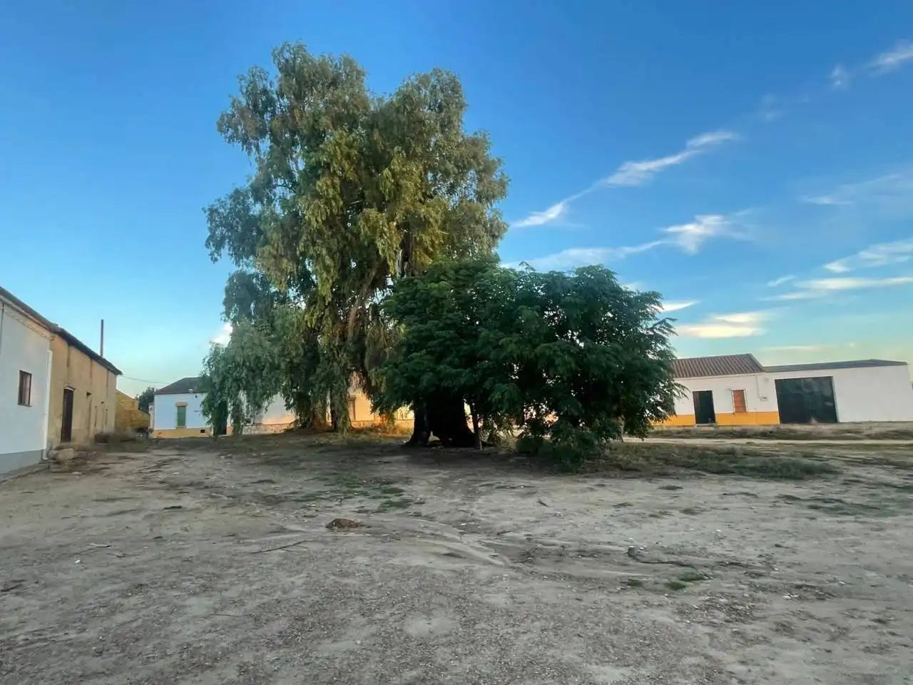 Houses for sale in Don Benito  with Private garden