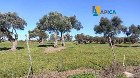 Photo 3 of Residential for sale in Villanueva Golf, Puerto Real