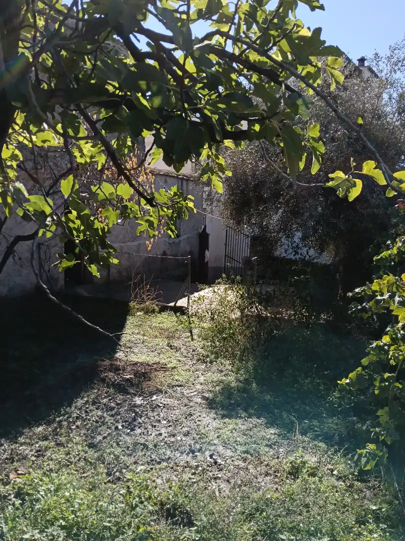 Finca rústica en venda en Cádiar