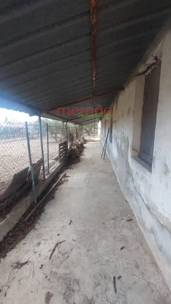 Casa o chalet en venta en Elche / Elx