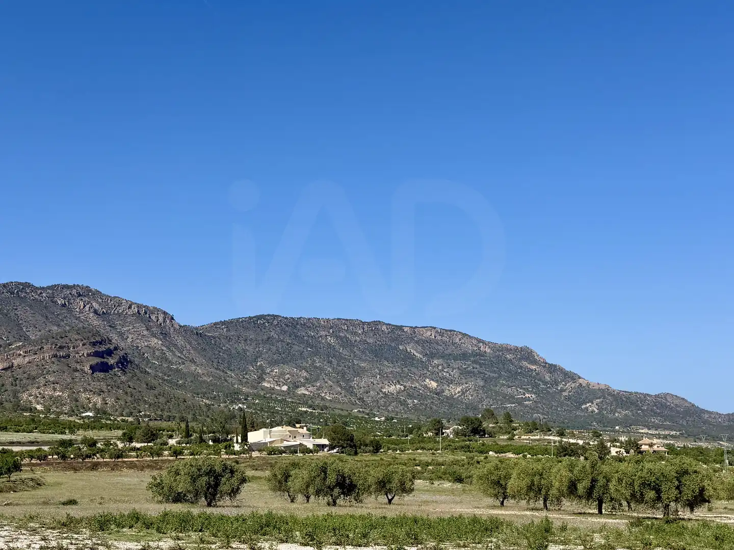 Grundstücke und Bauplätze zum Verkauf in Ricote, imagen 7