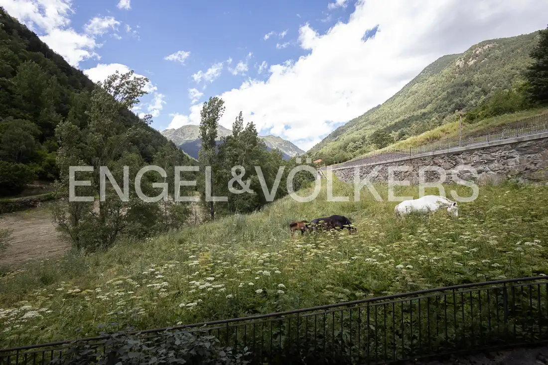 Planta baja en venta en Ordino con Calefacción, Parquet y Trastero