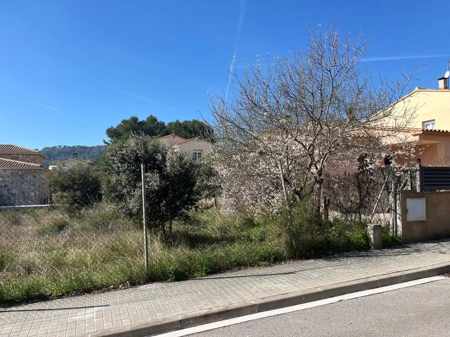 Terreny residencial en venda a Collbató, imagen 7