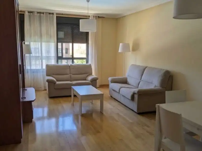 Living room of Flat for rent in Alameda