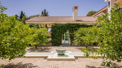 Foto 4 de Casa o xalet de lloguer a Calle Doñana, Sotogrande Alto, Cádiz