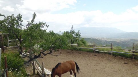 Cortijo con Parcela en Válor, imagen 5