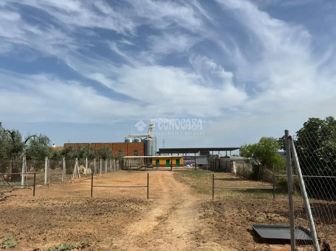 Country homes for sale in Pilas  with Private garden