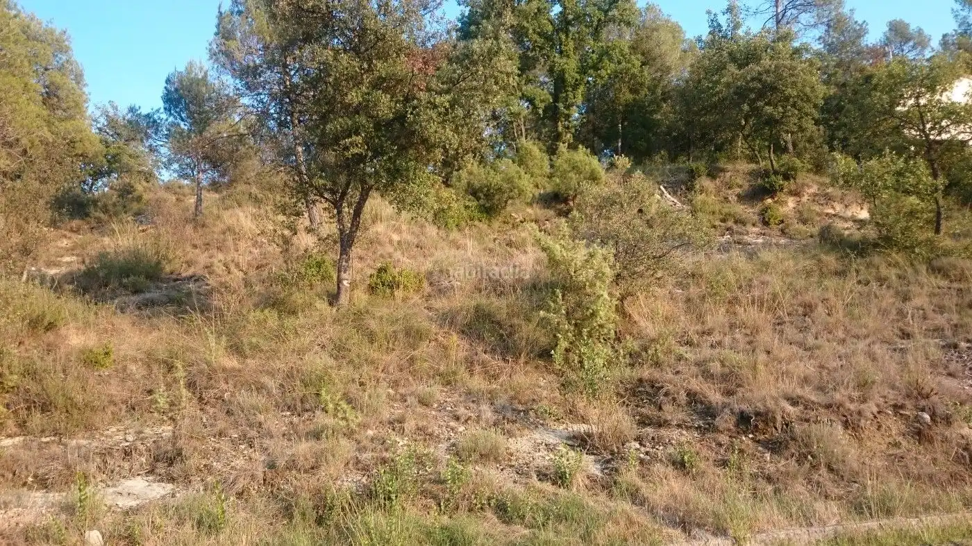 Terreny residencial en venda a Avinguda del Doctor Pere Tarrés 16, imagen 4