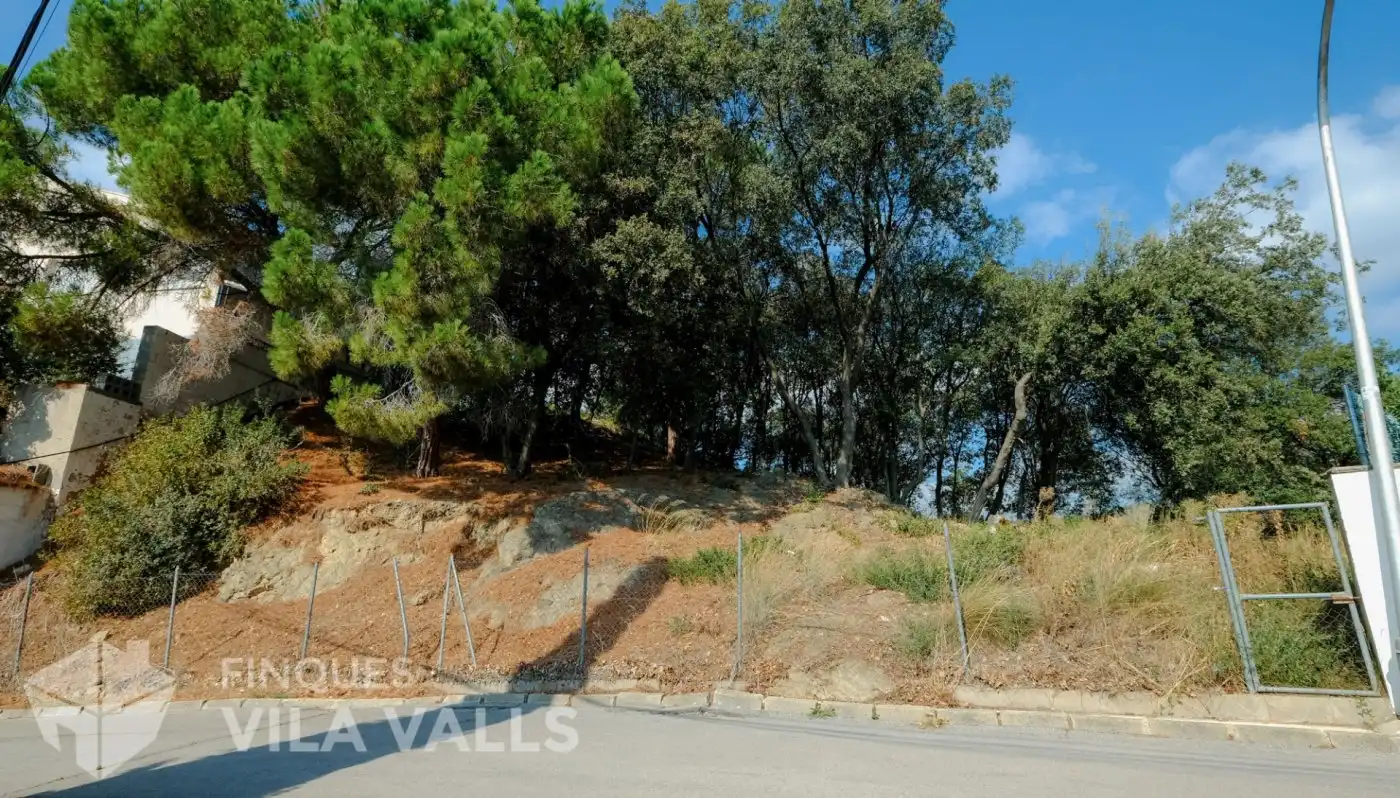 Lands and plots for sale in Calle AMETLLER