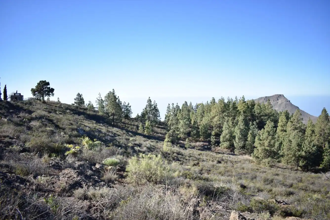 Terrenos y solares en venta en Vilaflor de Chasna, imagen 21
