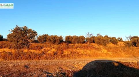 Foto 5 de Terreno en venta en Puiggròs, Lleida