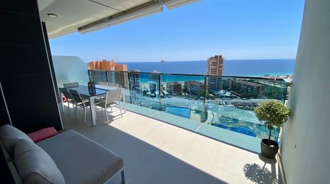 Foto 2 de Apartamento de alquiler en Playa Poniente, Benidorm