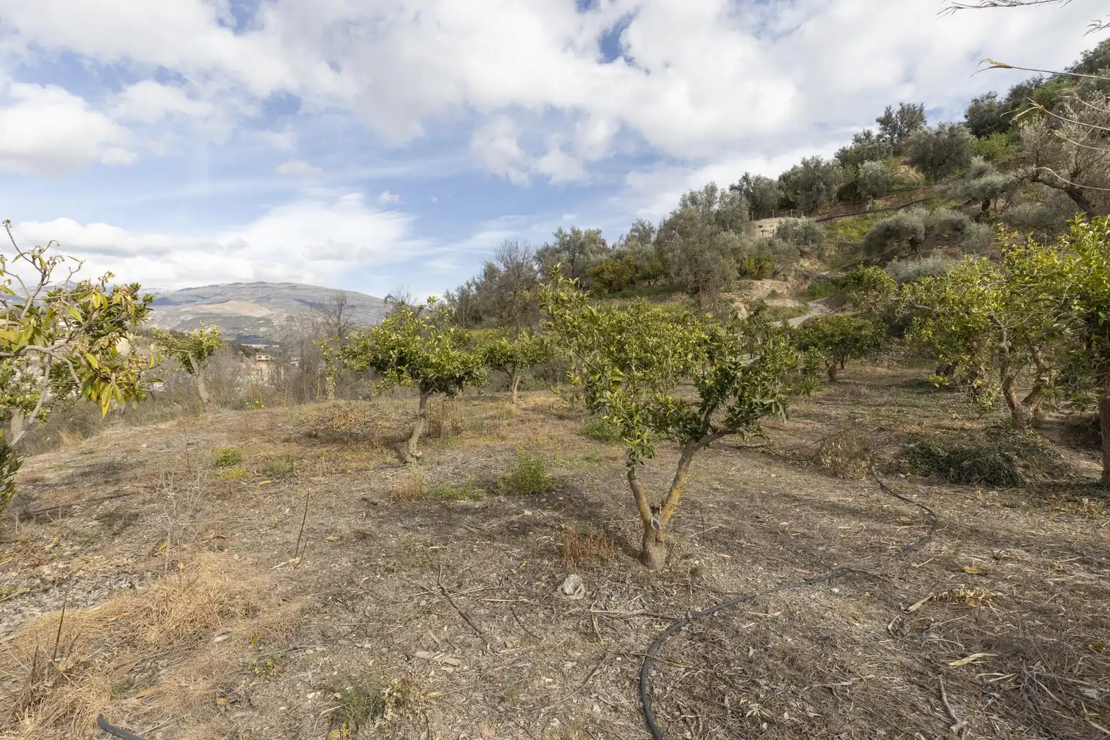 Finca rústica en venta en El Valle, Serón