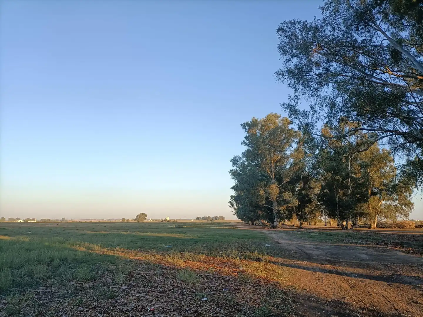 Terreno residenziale in vendita a Este - Alcosa- Torreblanca, imagen 3