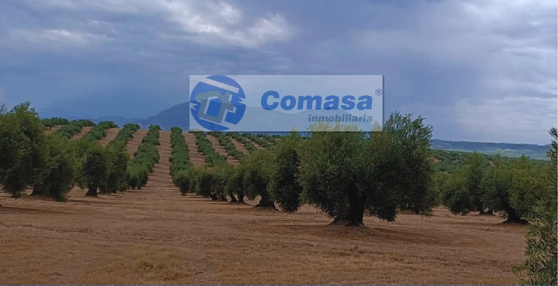 Terreni e lotti in vendita a Martos