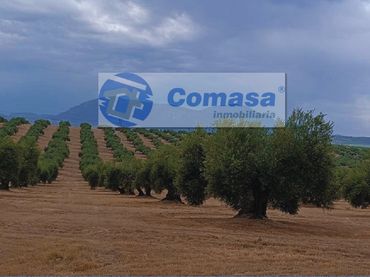 Wohnbaugrundstück zum Verkauf in Martos