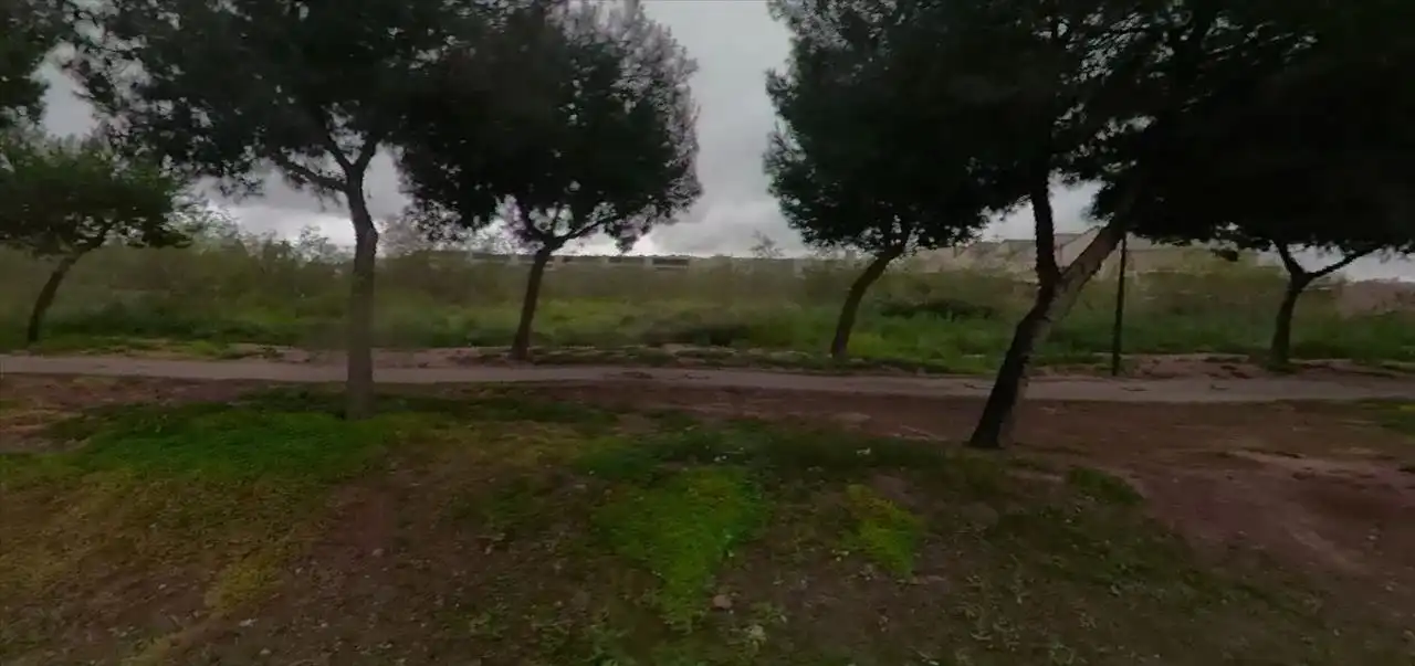 Terreno rustico in vendita a Polígono 87 Parcela 36, PLA PINELA, imagen 5