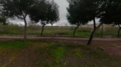 Photo 5 of Land for sale in Polígono 87 Parcela 36, Pla Pinela, -1, Los Pinares - La Masia, Valencia