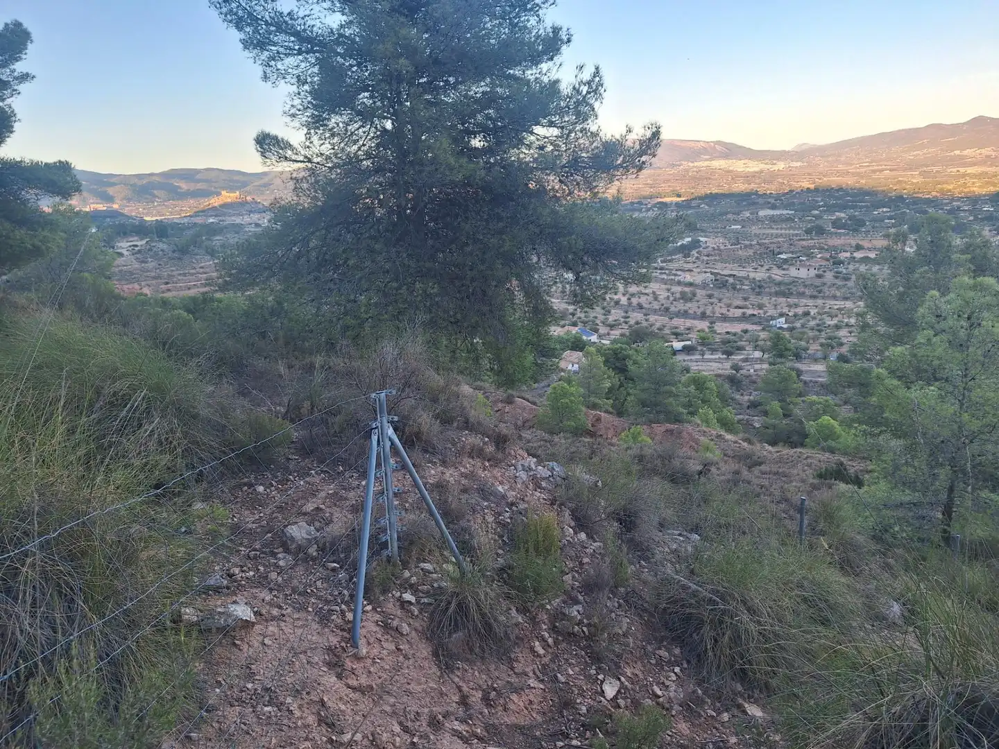 Rural land for sale in Castalla, imagen 9