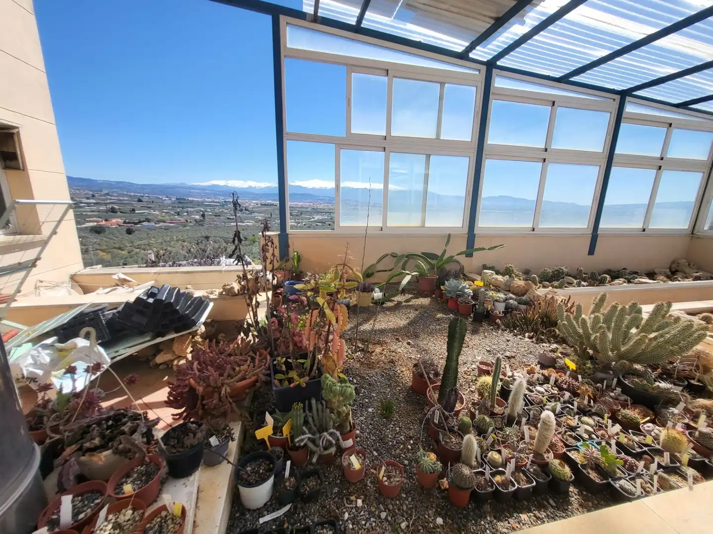 Jardí de Casa o xalet en venda en Albolote amb Aire condicionat, Calefacció i Jardí privat