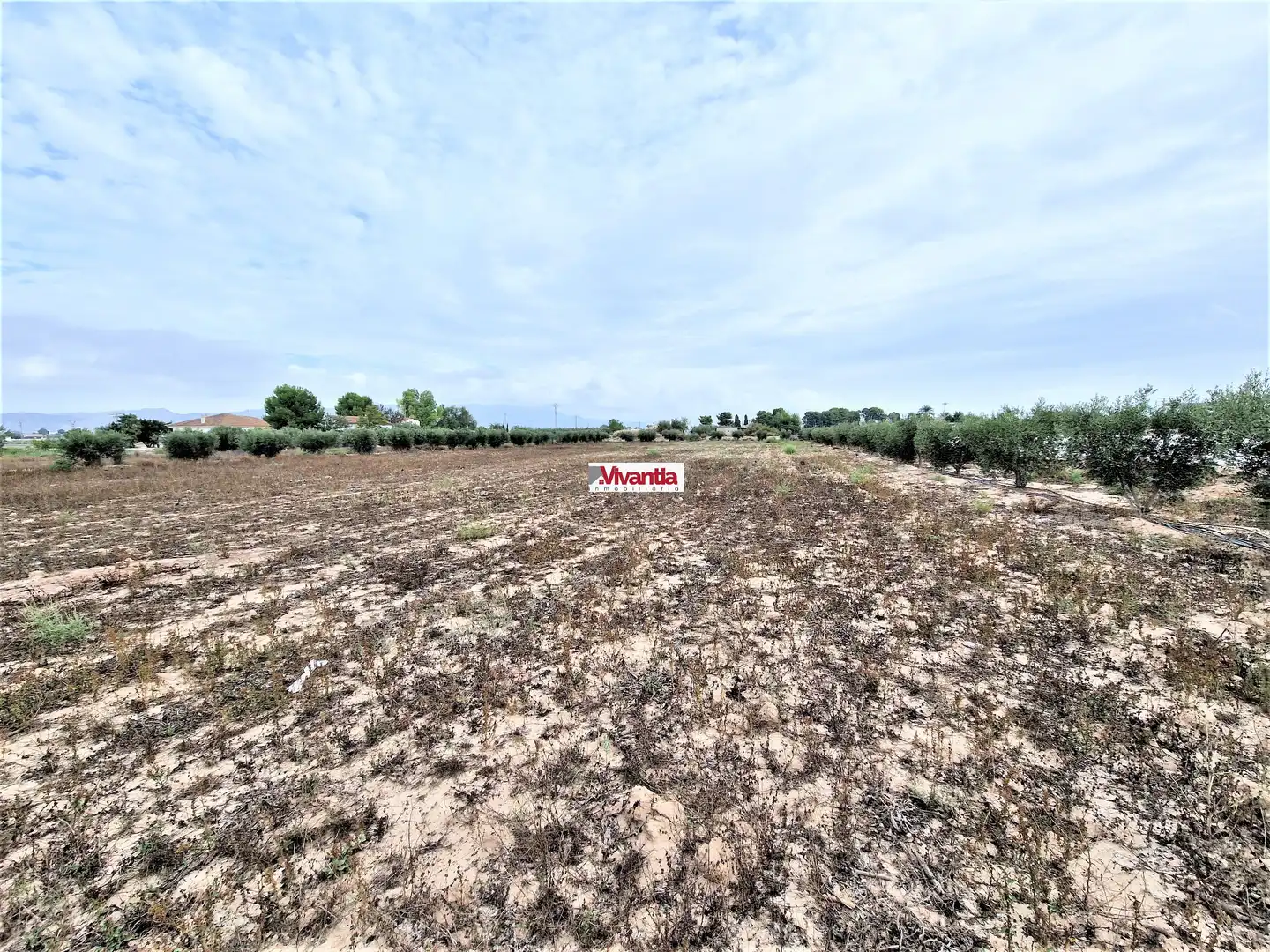 Residential for sale in Lorca
