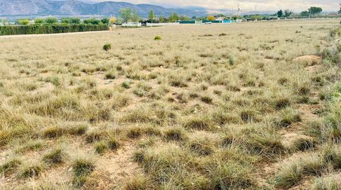 UNA GRAN PARCELA RÚTICA A UN PASO DE VILLENA