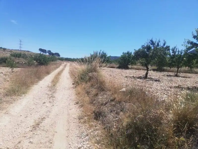 Lands and plots for sale in El Poste Partido De Collado Del Rey 176, imagen 3