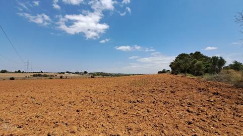 Foto 3 de Residencial en venda a Santa Eugènia, Illes Balears