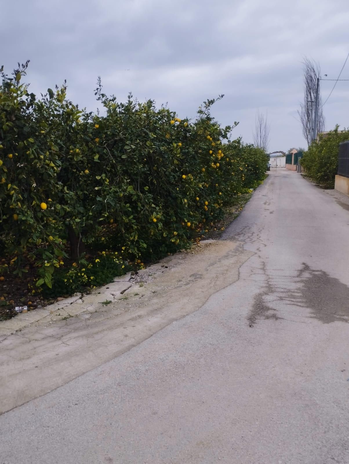 Land for sale in Santa Catalina - San Bartolomé