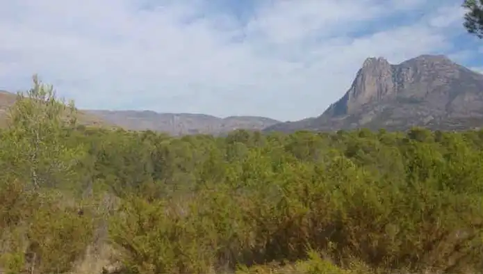 Rural land for sale in Ptda La Robella, Sector el Arquet, imagen 7