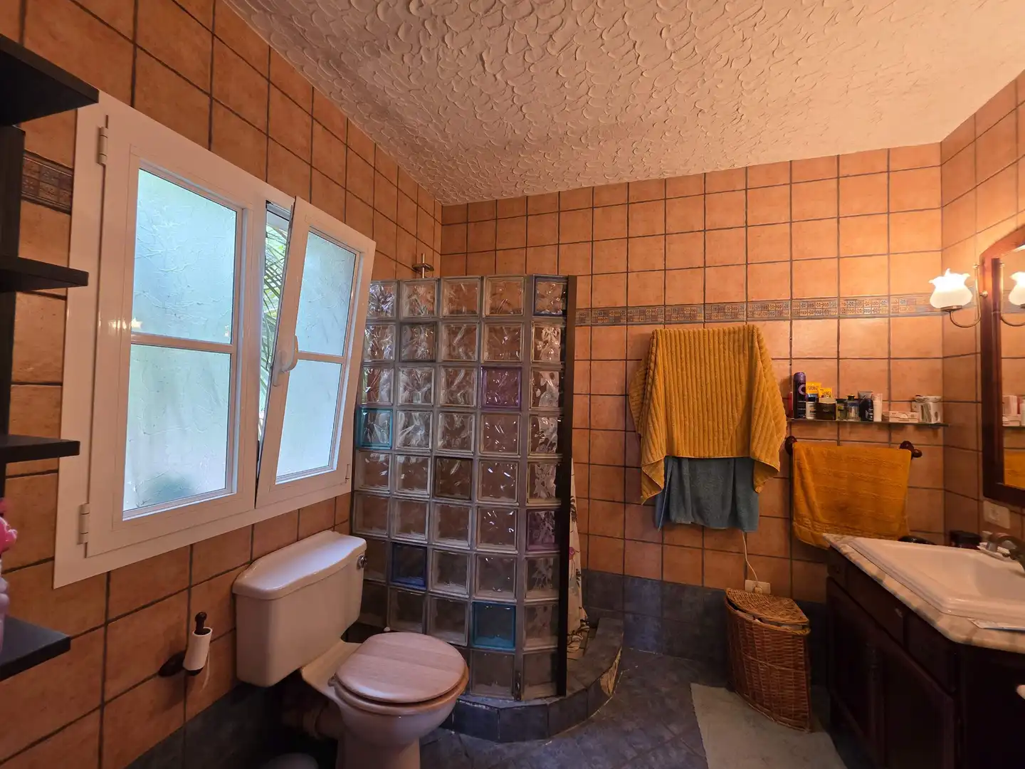 Bathroom of Houses for sale in La Orotava  with Private garden, Terrace and Storage room