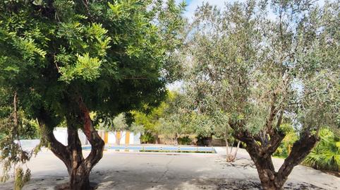 Photo 3 of House or chalet for sale in Favara, Valencia