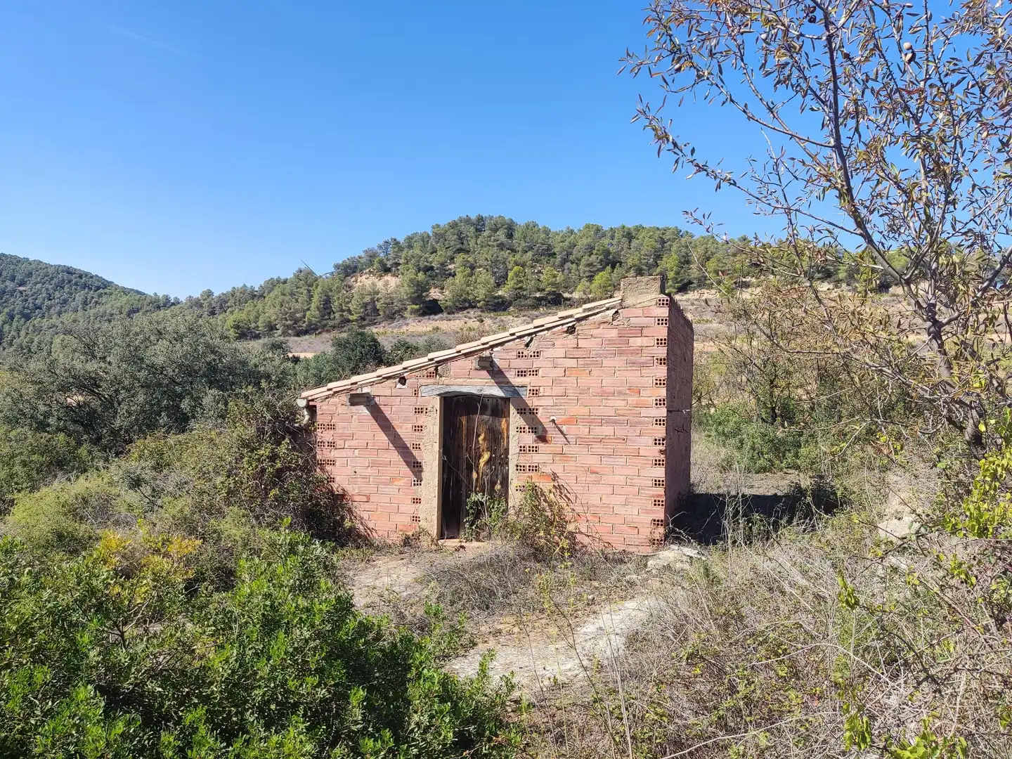 Rural land for sale in Horta de Sant Joan