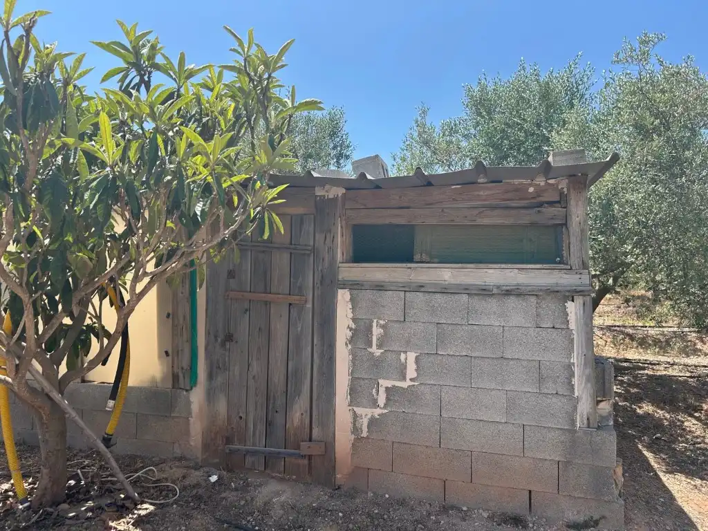 Vista exterior de Finca rústica en venta en Sot de Ferrer