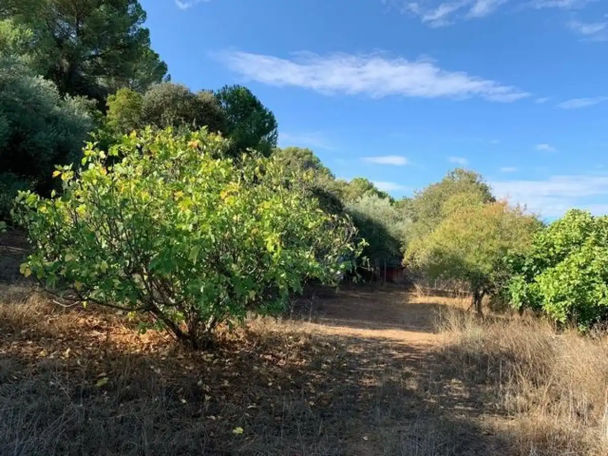 Terreny residencial en venda a Periurbano Oeste - Sierra