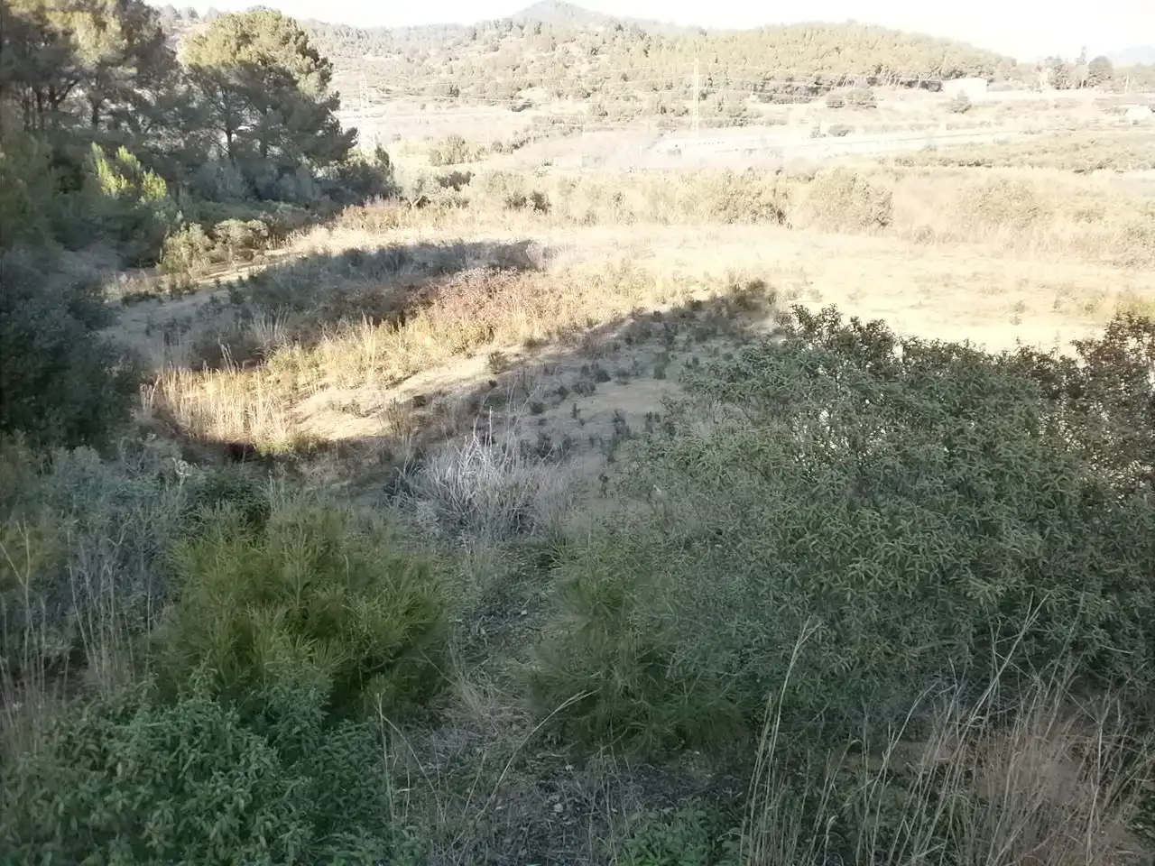 Terreno rustico in vendita a Riudecols, imagen 4