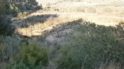 Imagen 4 del anuncio