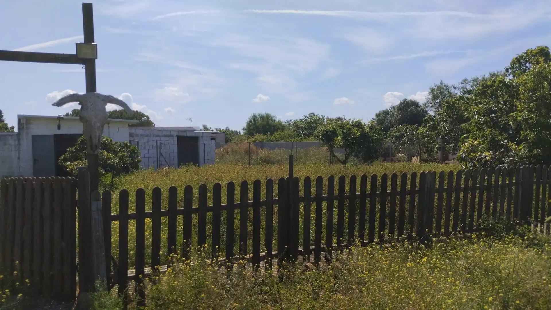 Landhaus mit Pool zum Verkauf in Pelagatos - Pago del Humo, imagen 4